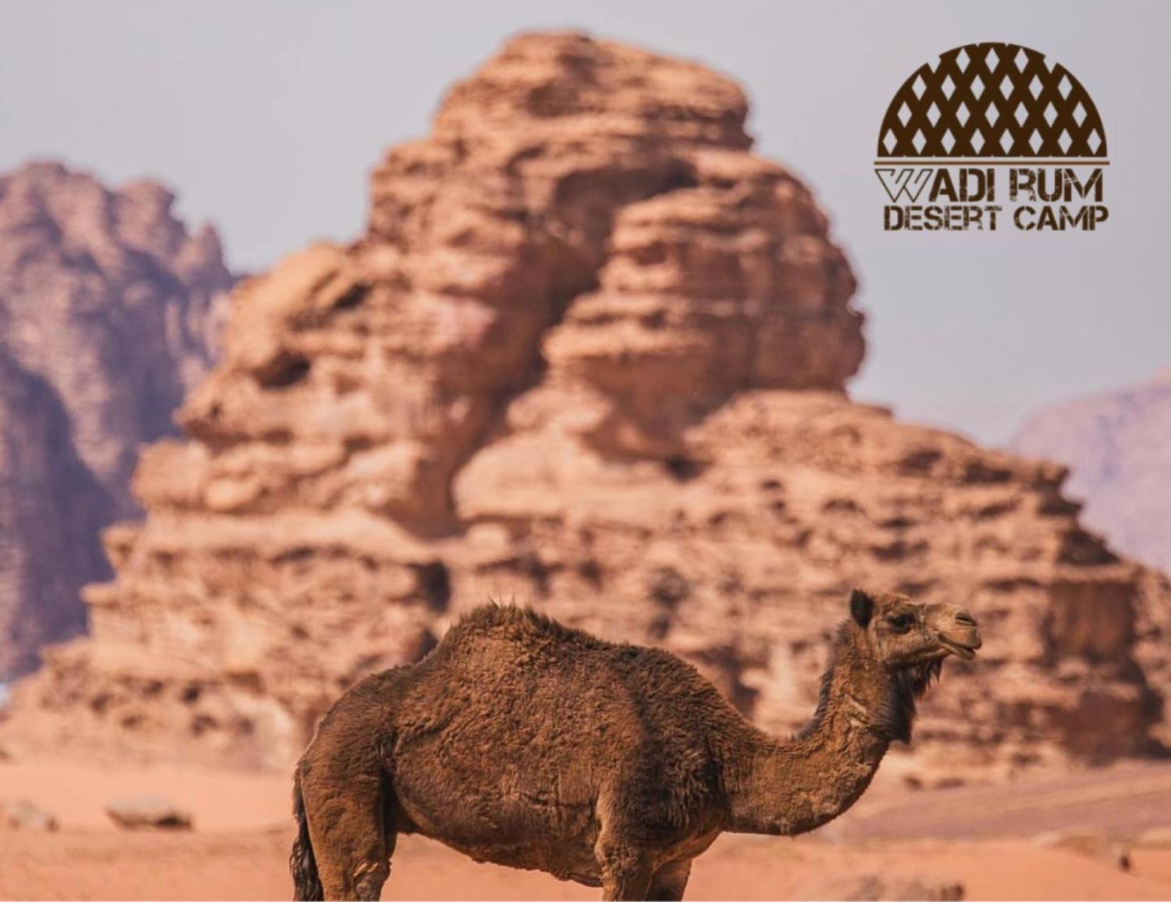 Wadi Rum Desert Camp Экстерьер фото